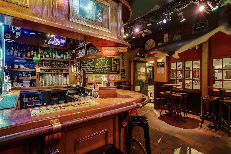 Le Requin Chagrin photo