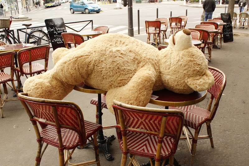 Verse Toujours photo